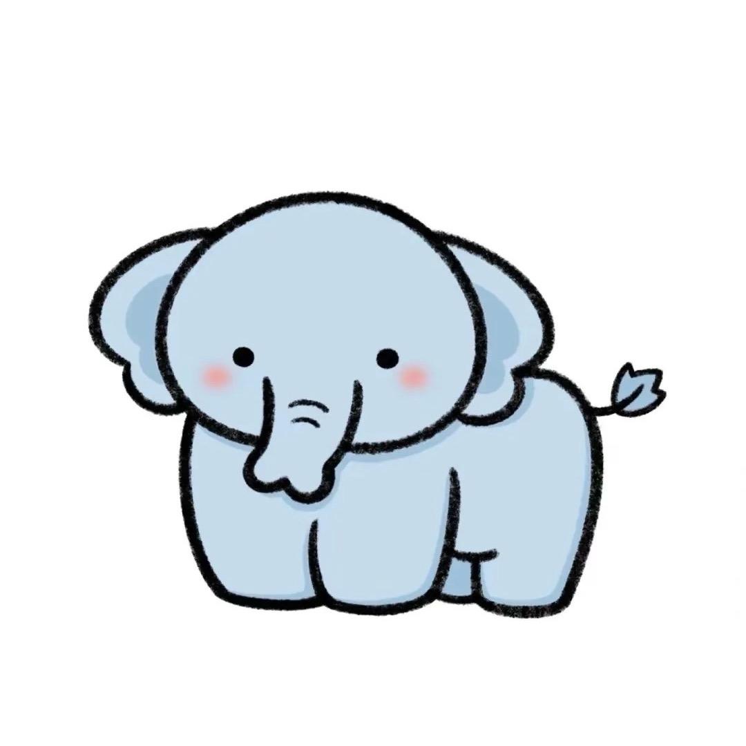 小飞象🐘
