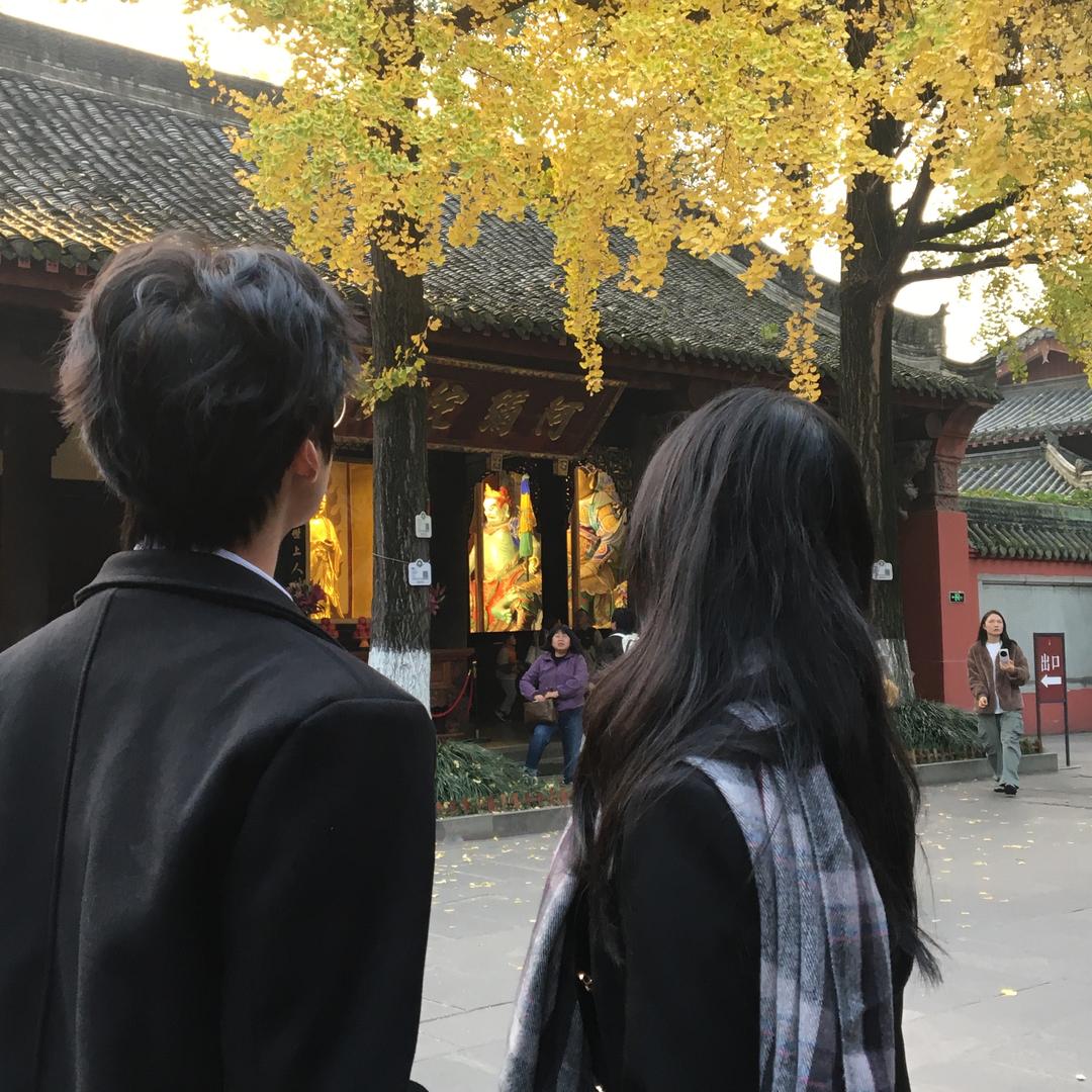 乖乖