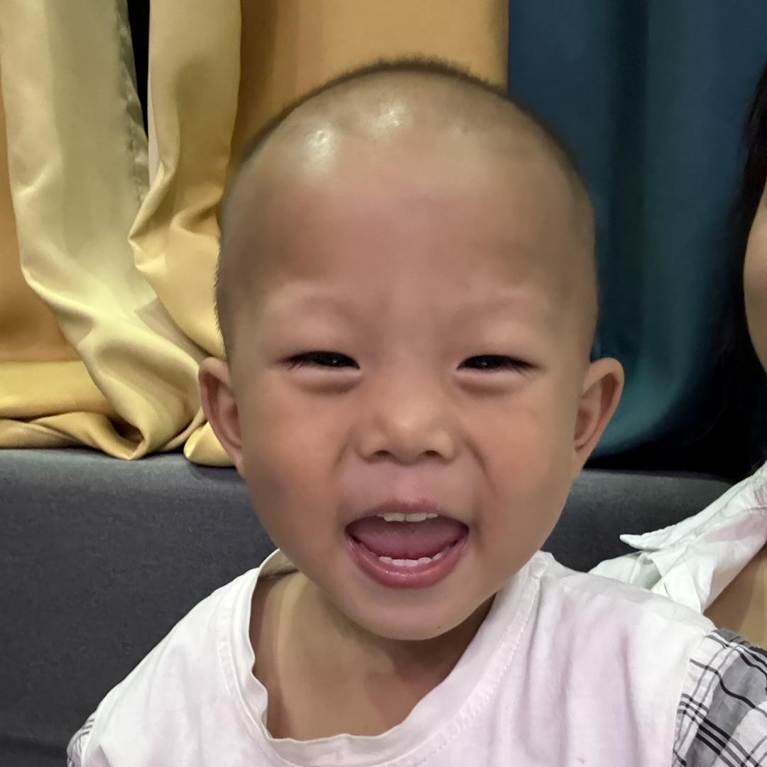 广州岑樟田苗优品小铺