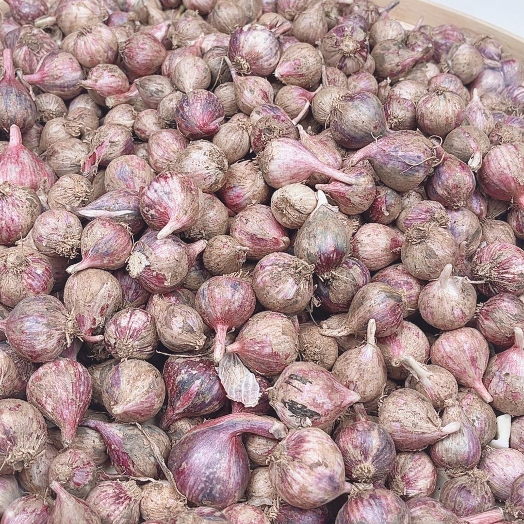 海口美兰韵筱韩百货店（个体工商户）