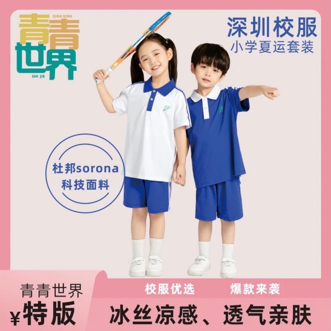 深圳大博士