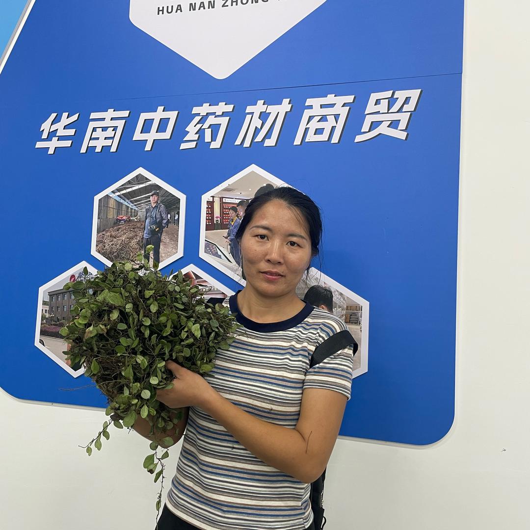 收山货的阿珍