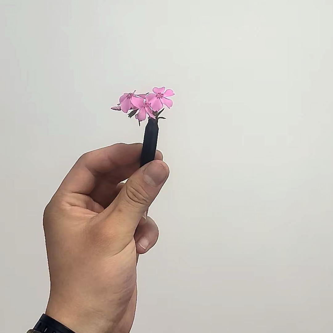 是你的小耀阳🇨🇳