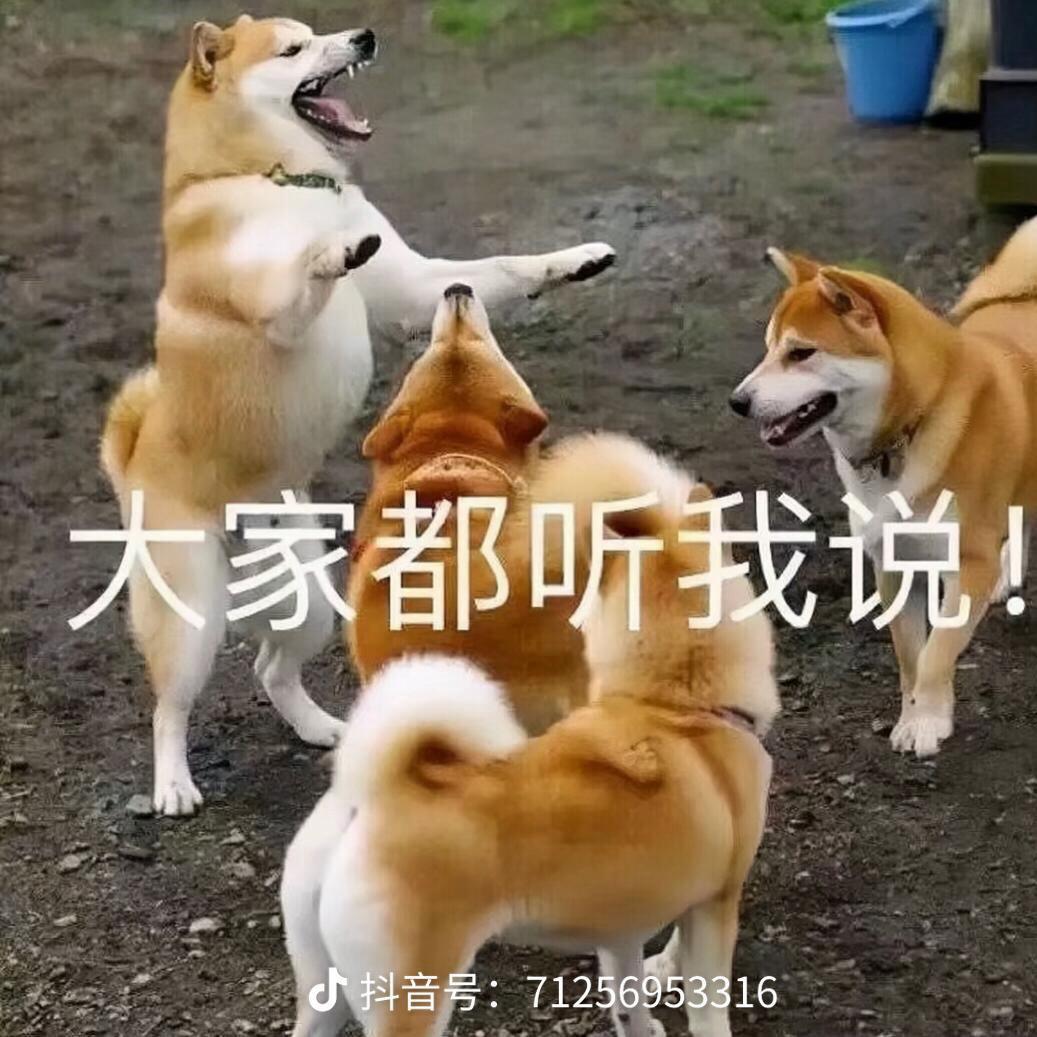 阿罗瓦拉