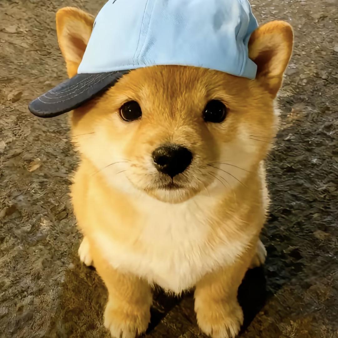 小胡萝北