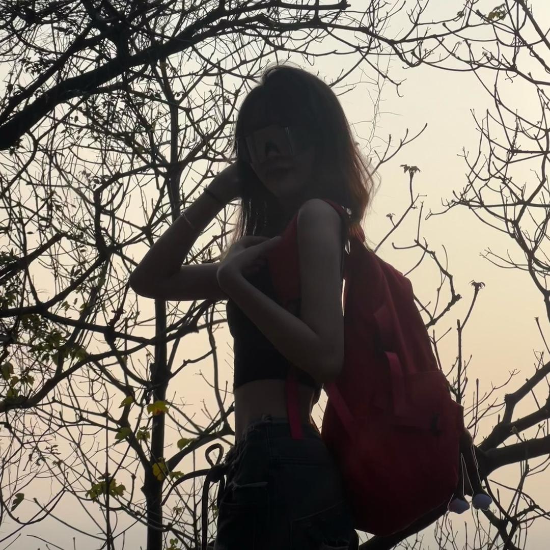 小甜豆