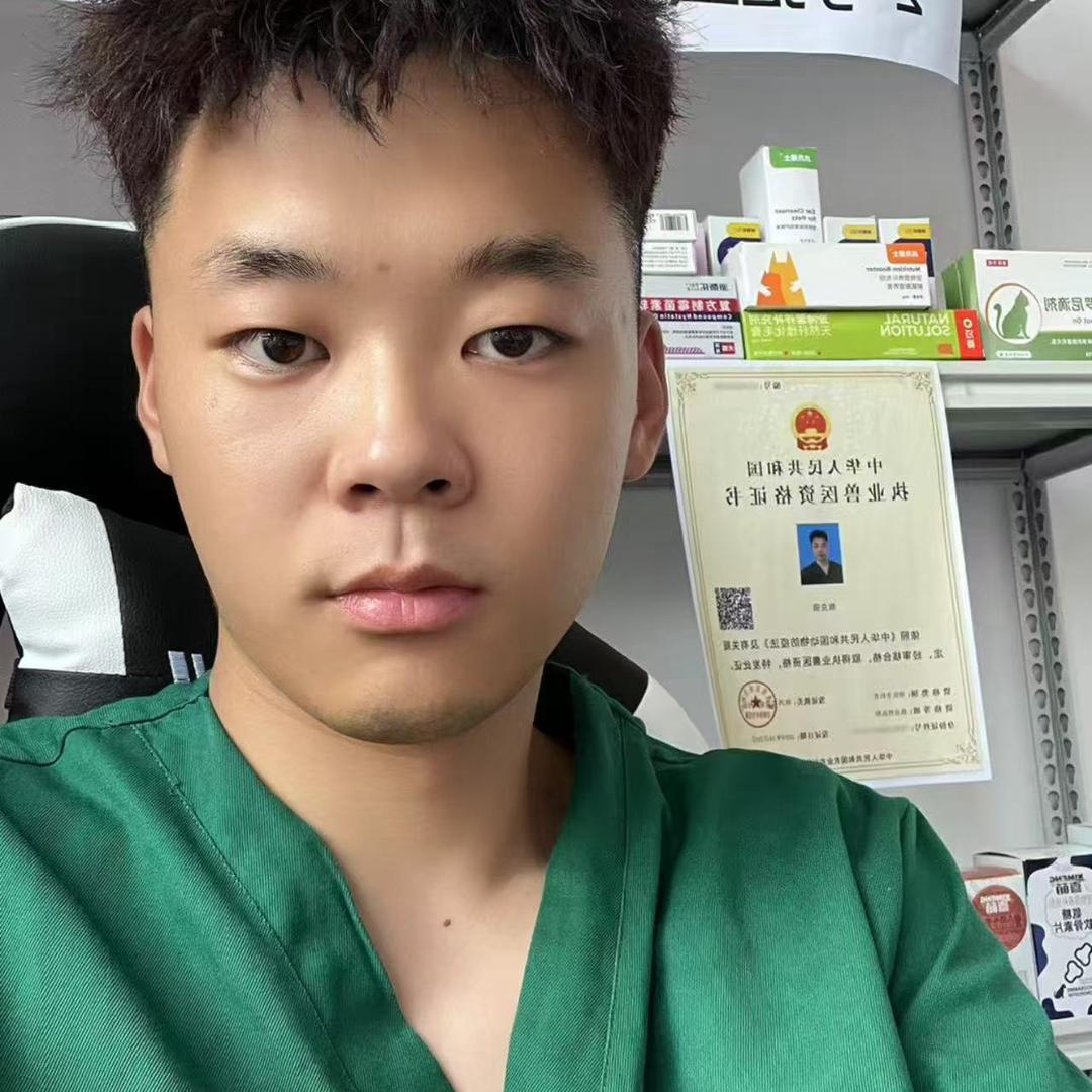 宠医强哥