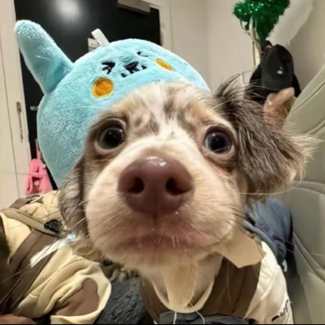 M^