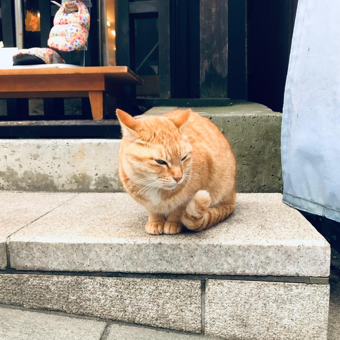 ✌🏻耶耶耶✌🏻