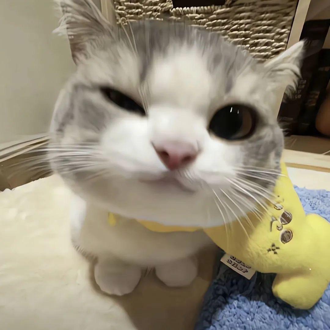 辰辰辰_