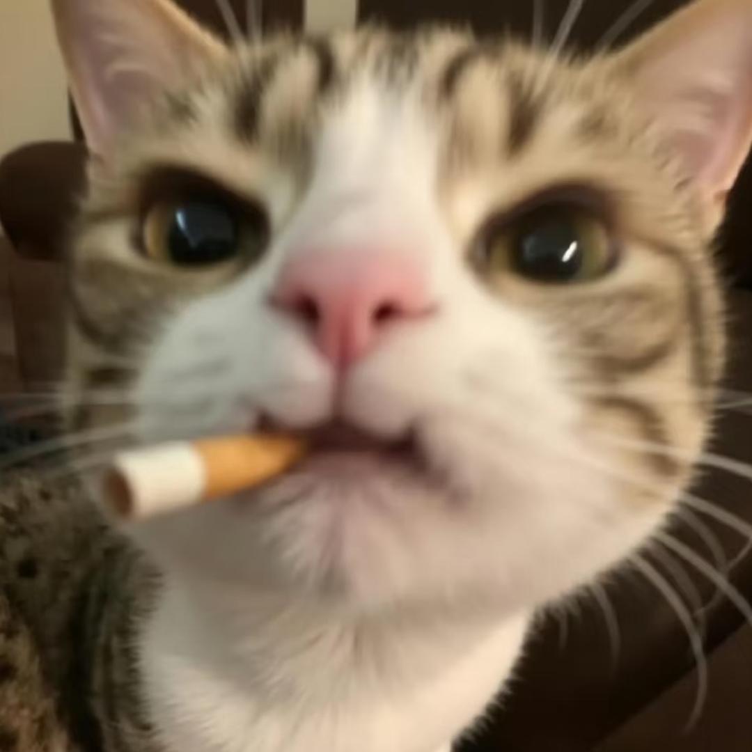 牛爷爷cos女仆勾引壮壮妈