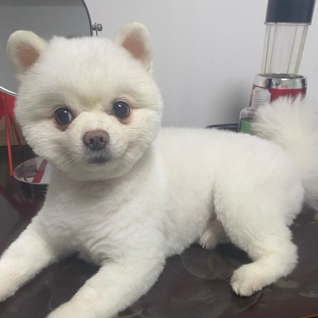 汤宝