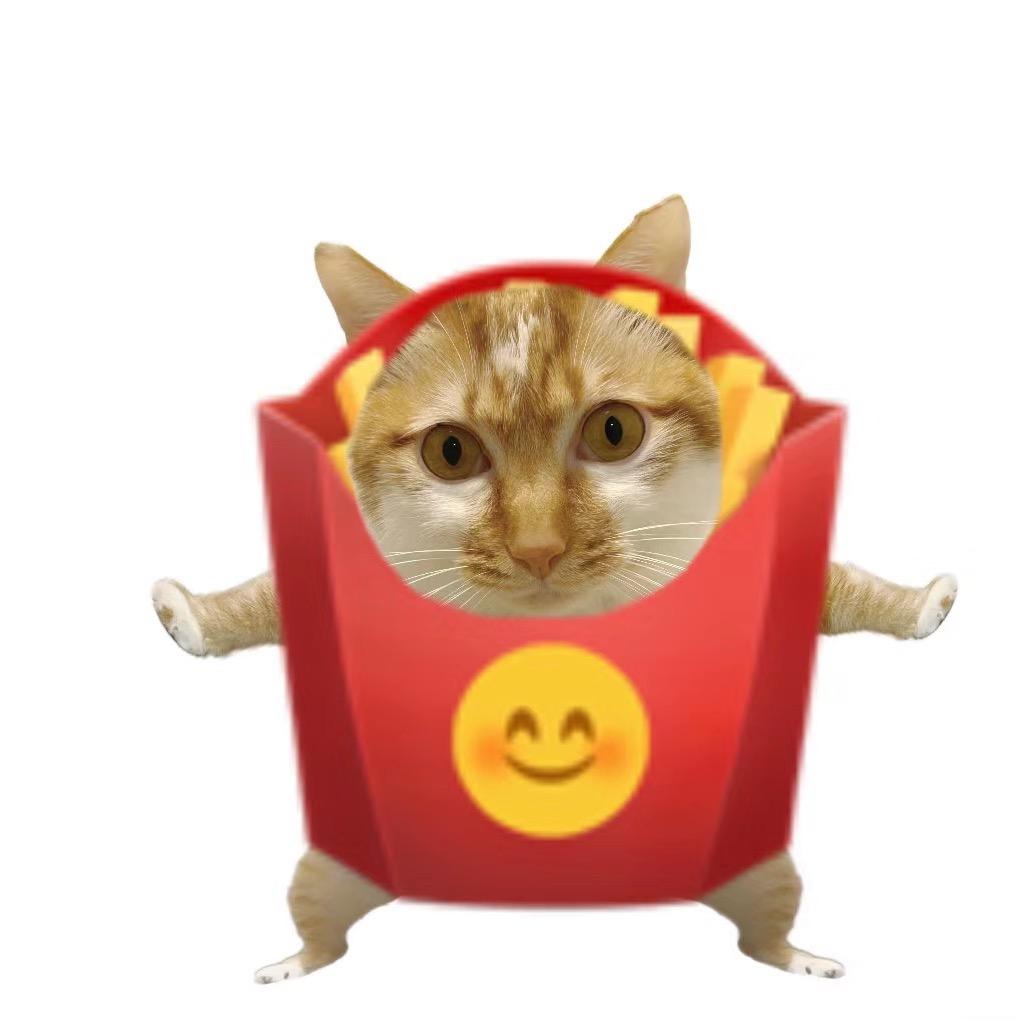 笑笑养猫狗（不敢吃瓜版）