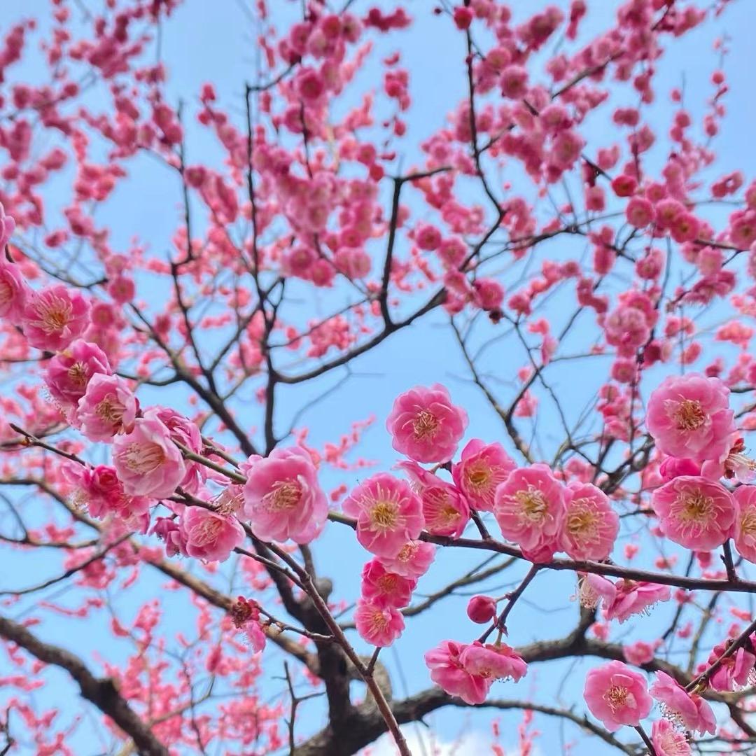 温柔半两