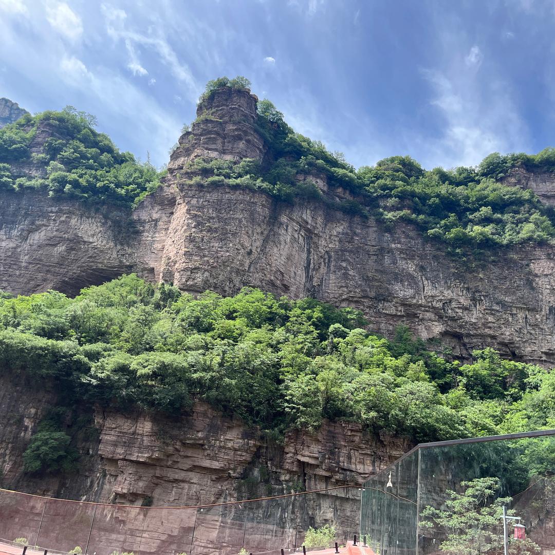 W&青青