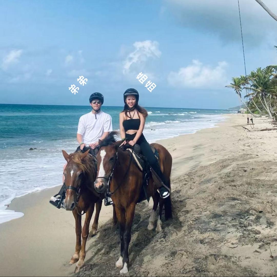 纸箱王子（继承家业版）