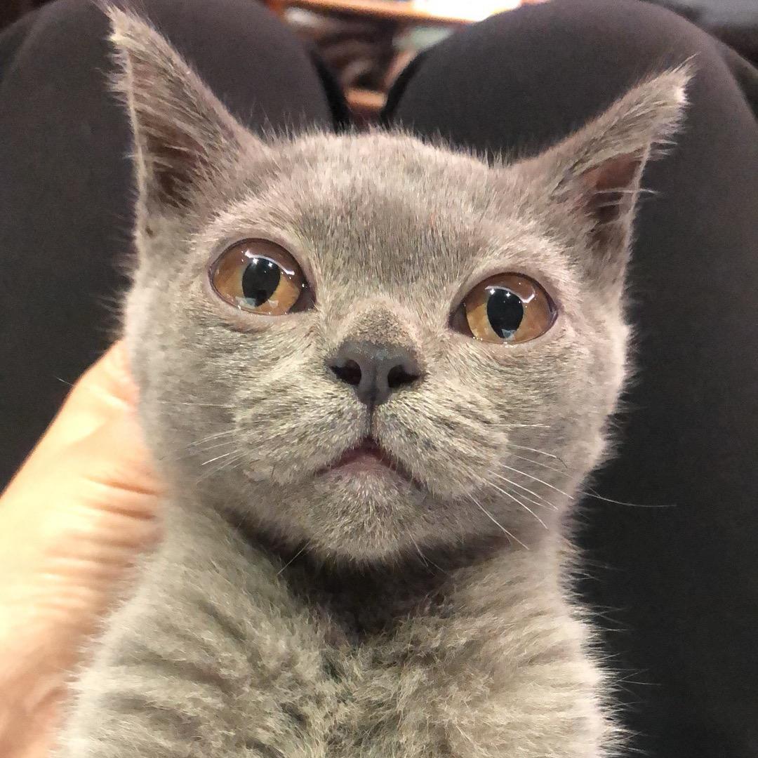 开心