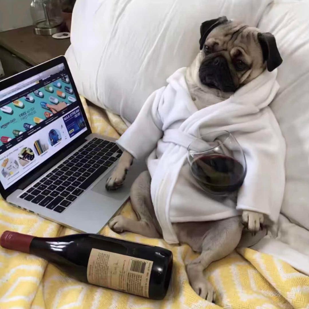 包头设计师 （刘星）