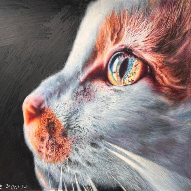 绘美学丛林画室