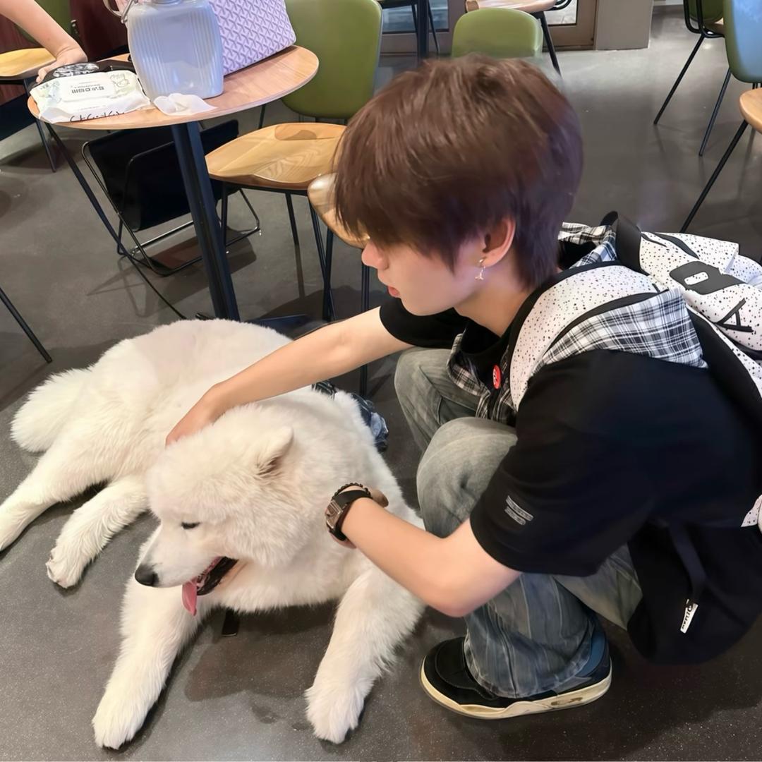 小 少 爷