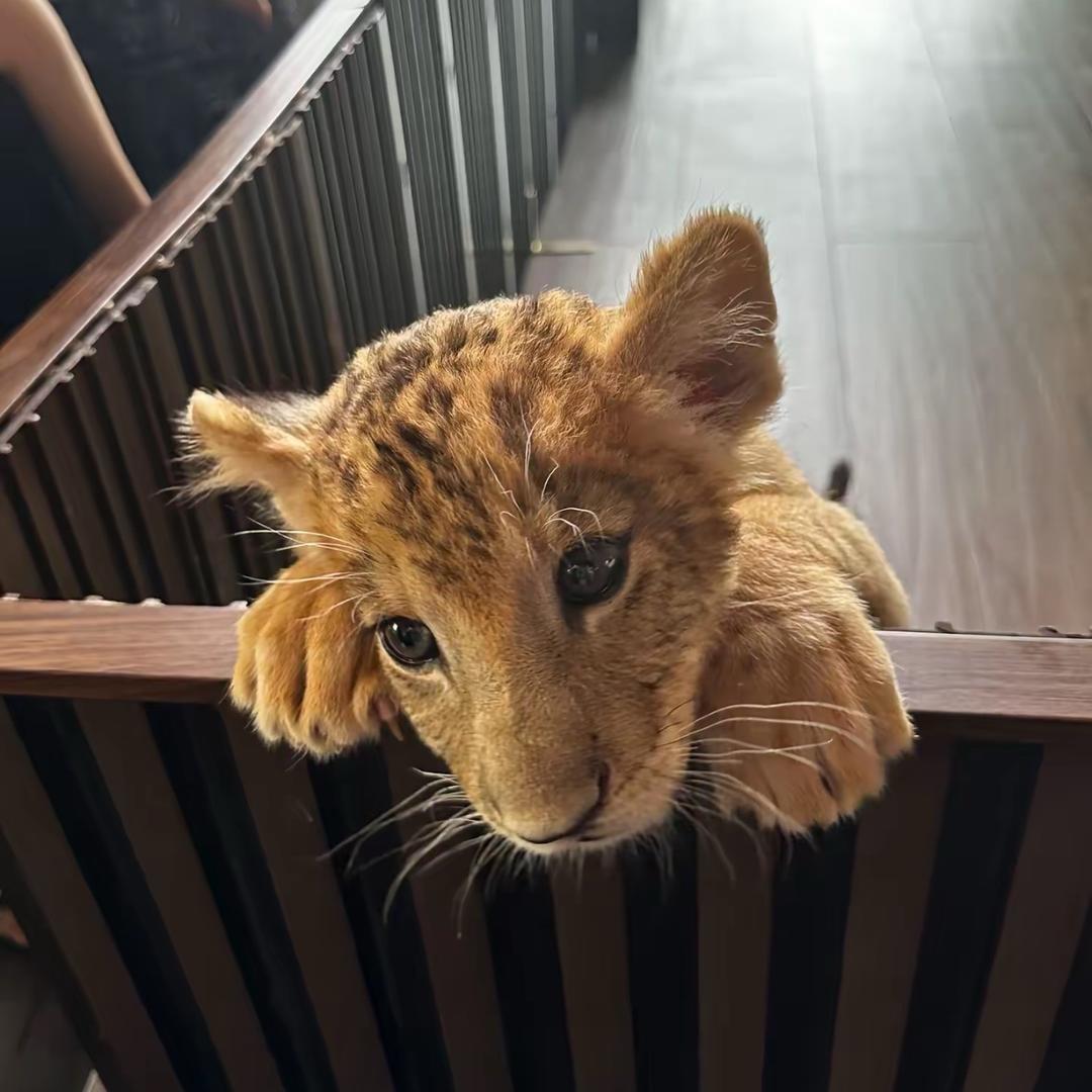 顺其自然。