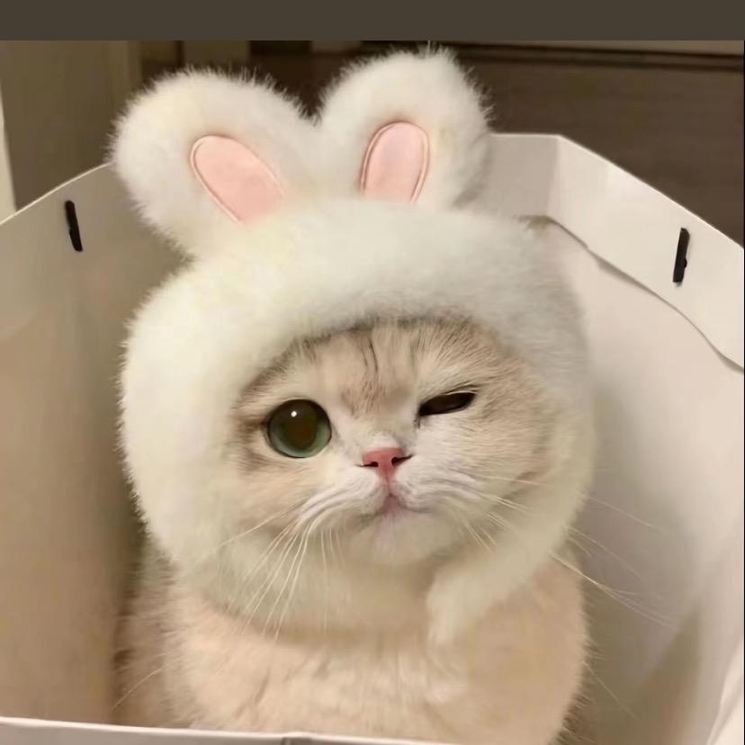 猫鹿