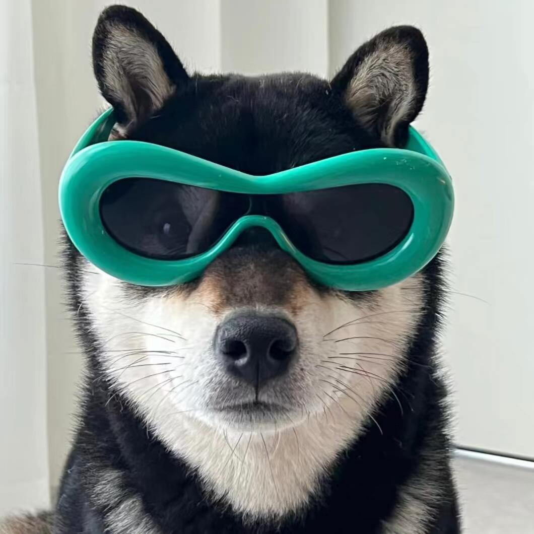 自信且高冷