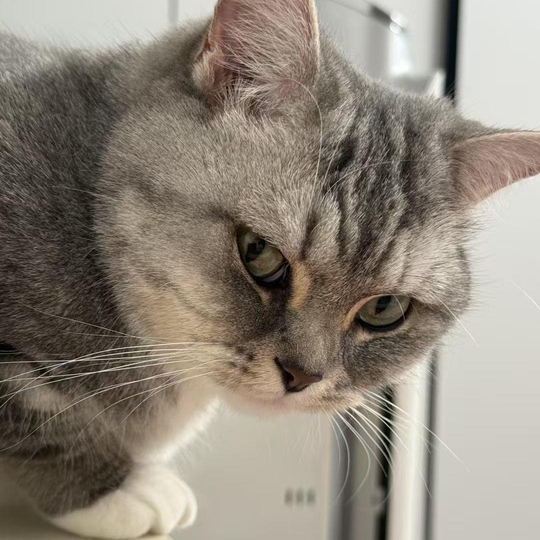 四十一年梦，觉来归一元