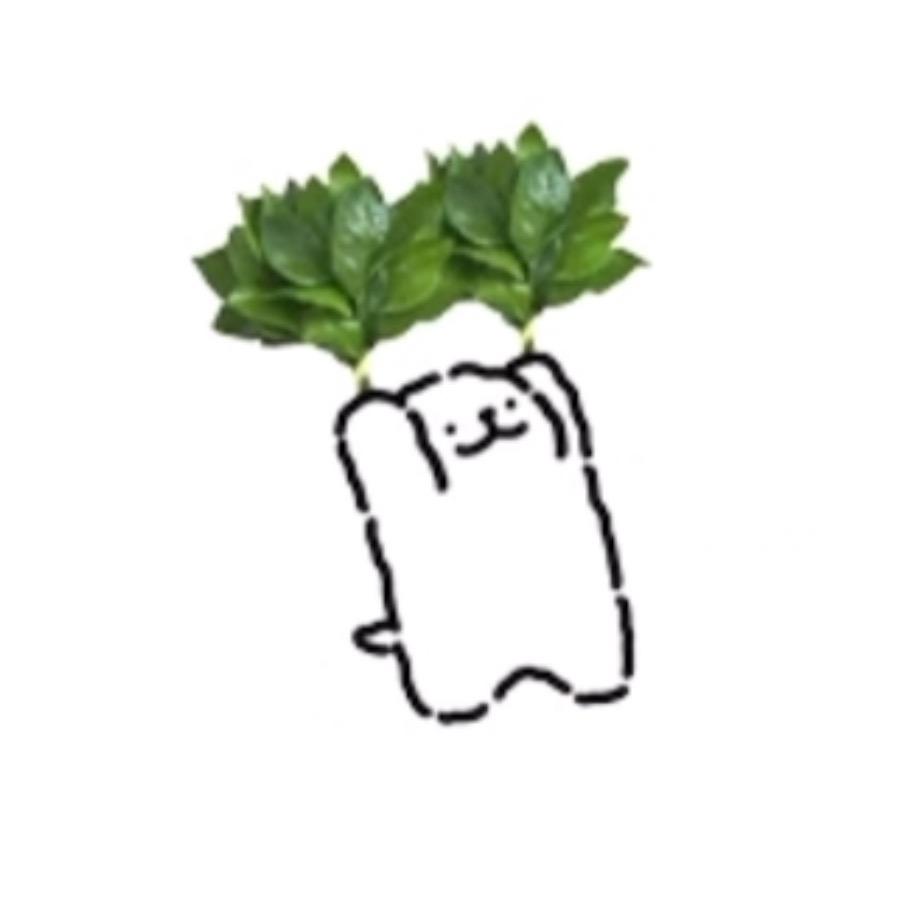 📿⁰̷̴͈ᴥ⁰̷̴͈📿漁