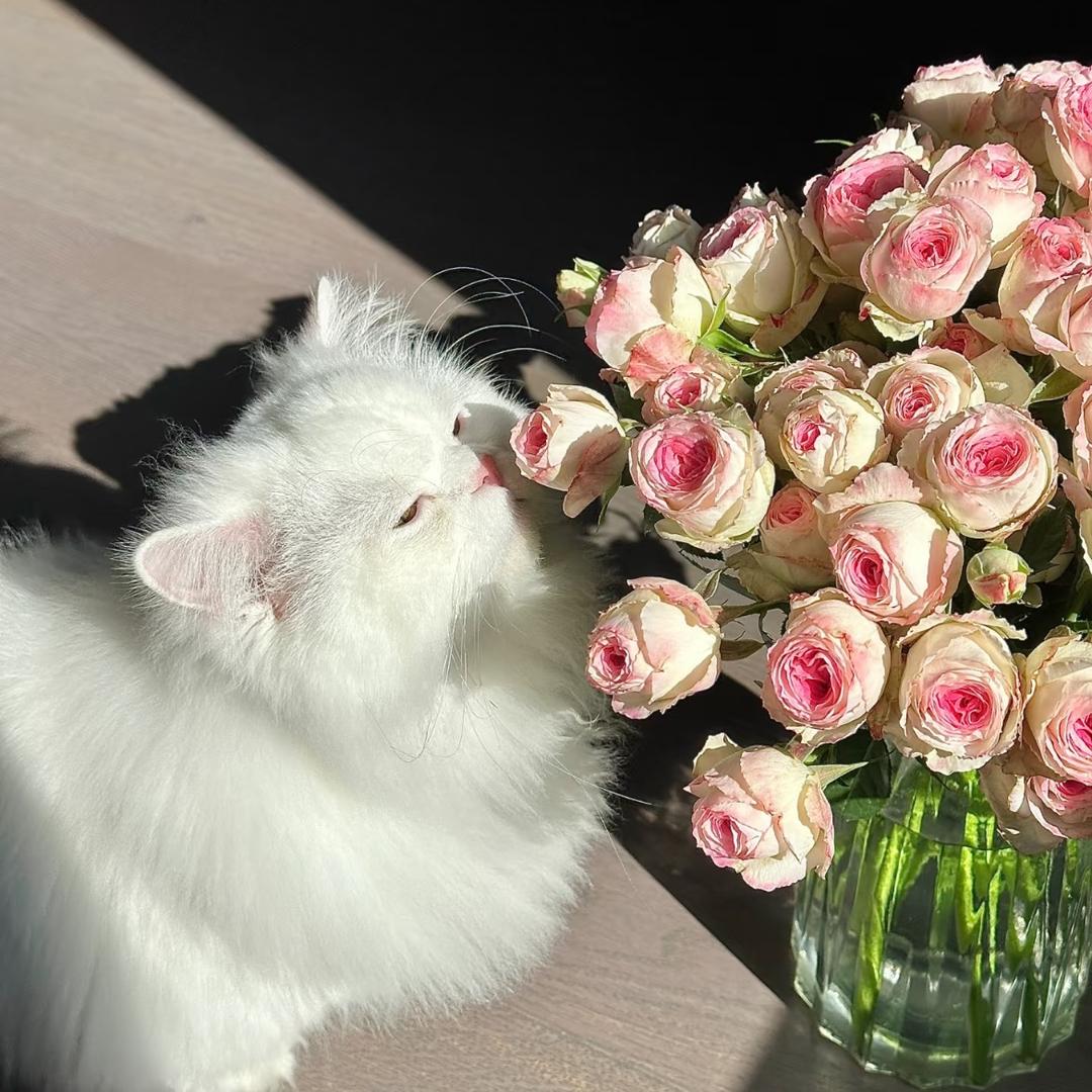 和坤-小美实力派中老年女装批发