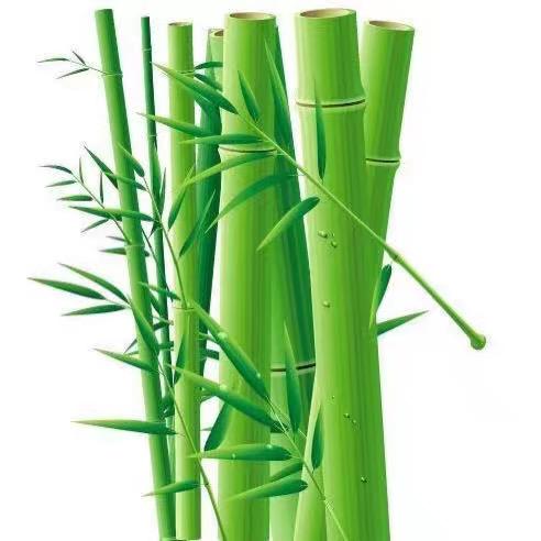 潍坊大硕聊房