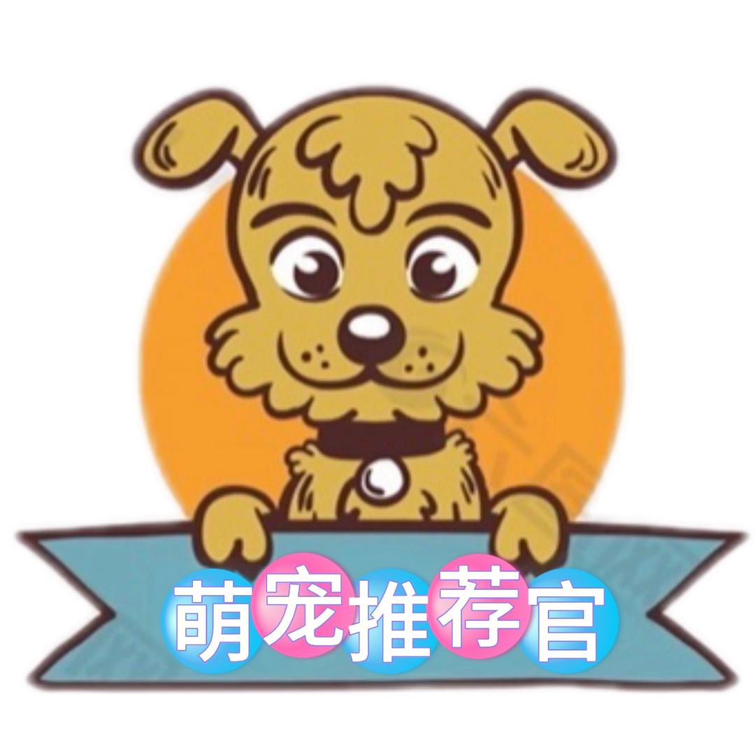 萌宠推荐官