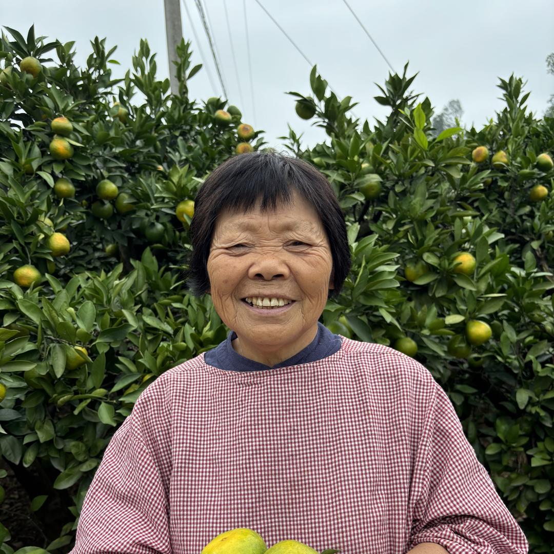 石门县王大妈食品商行