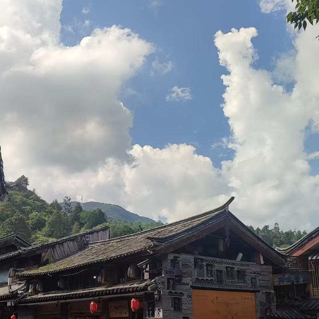 乐油刘
