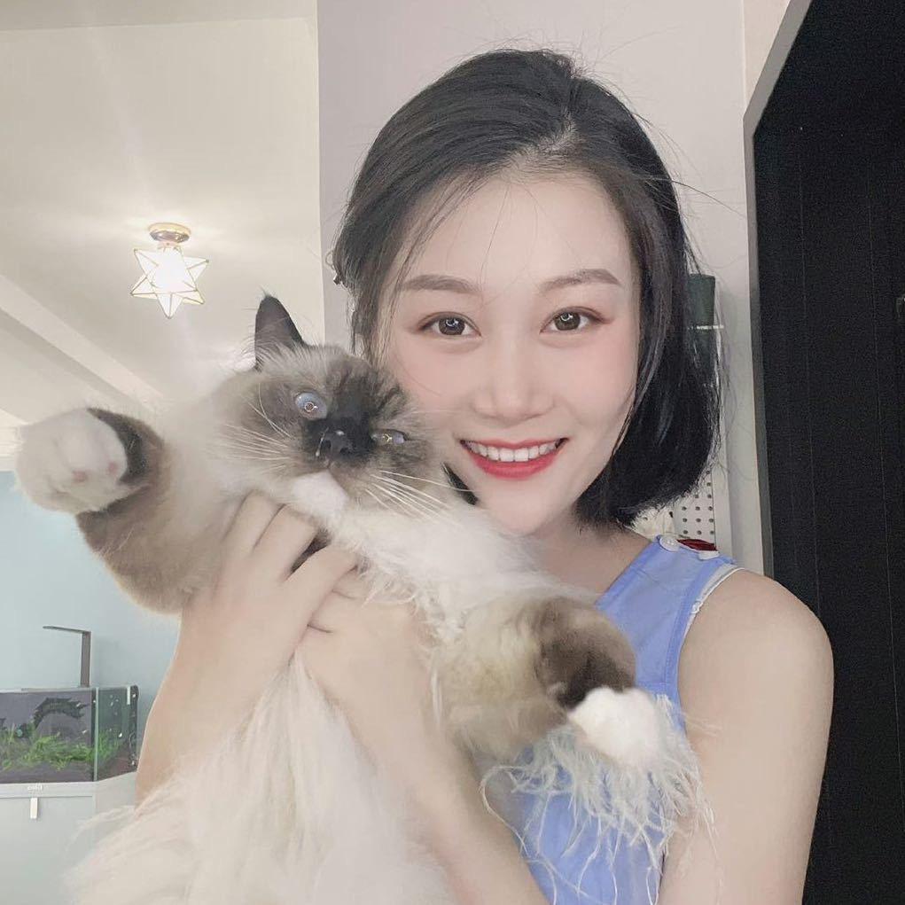 原色艺术【指间美术赵老师】