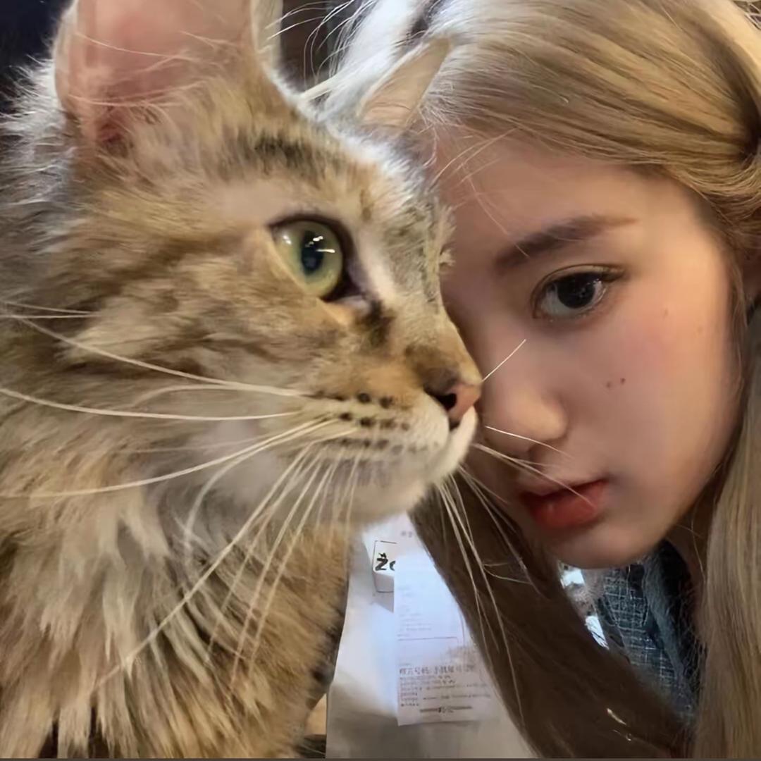 养只爱我的猫