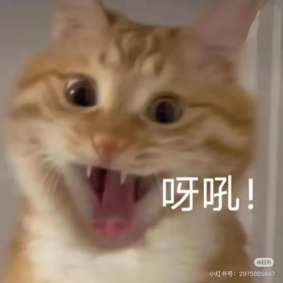 呀～吼🦦