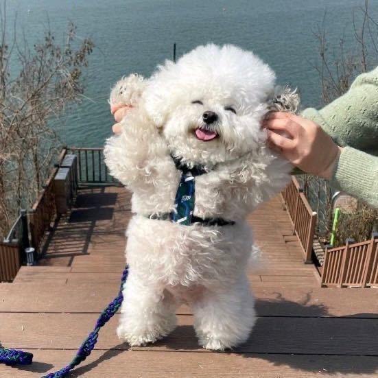 一颗小枣ovo