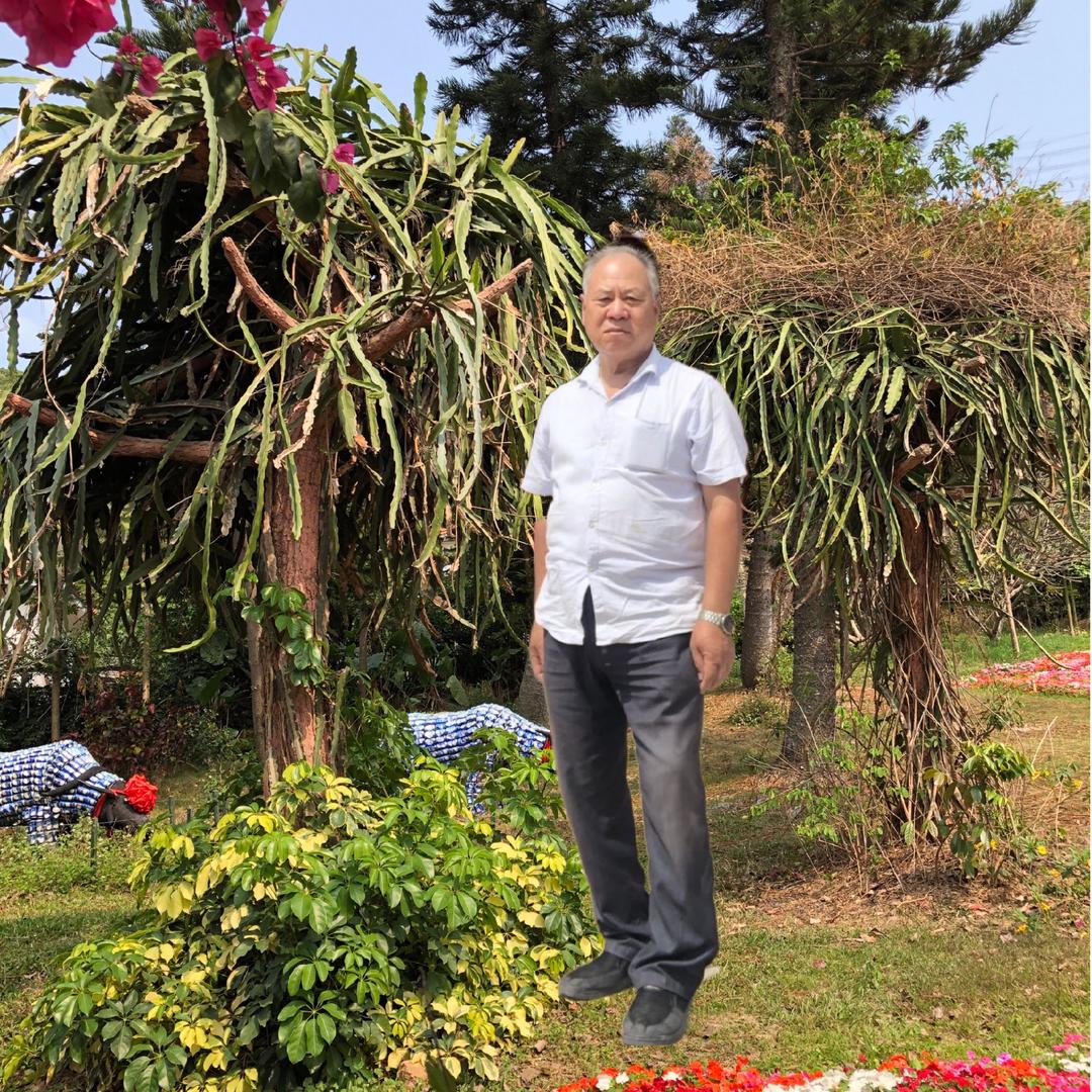 齐天鸿福（不定时开播）
