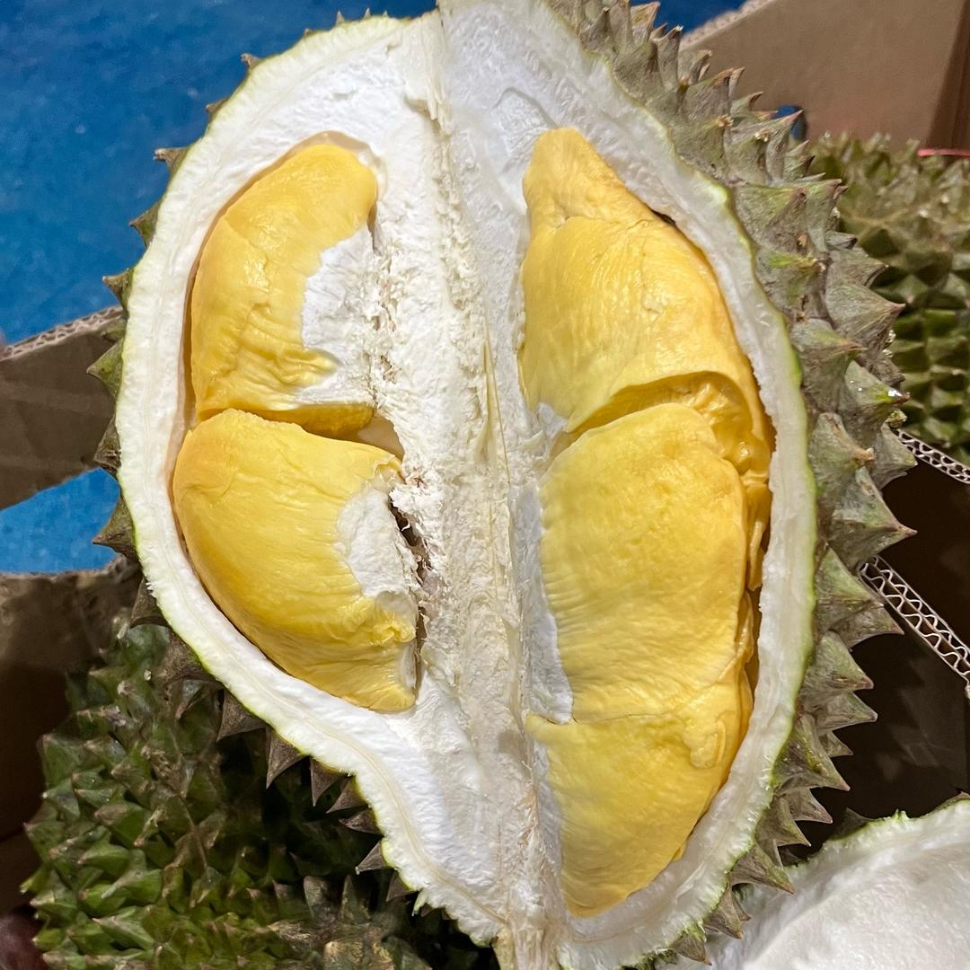 空运火山普雅榴莲