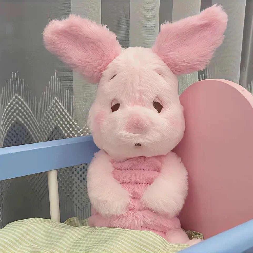 柒愿