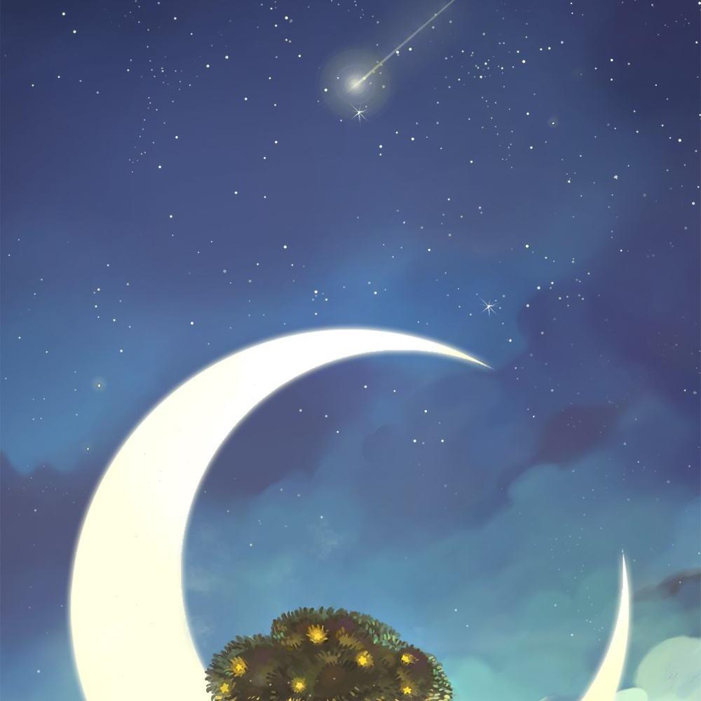 小叮当🔅