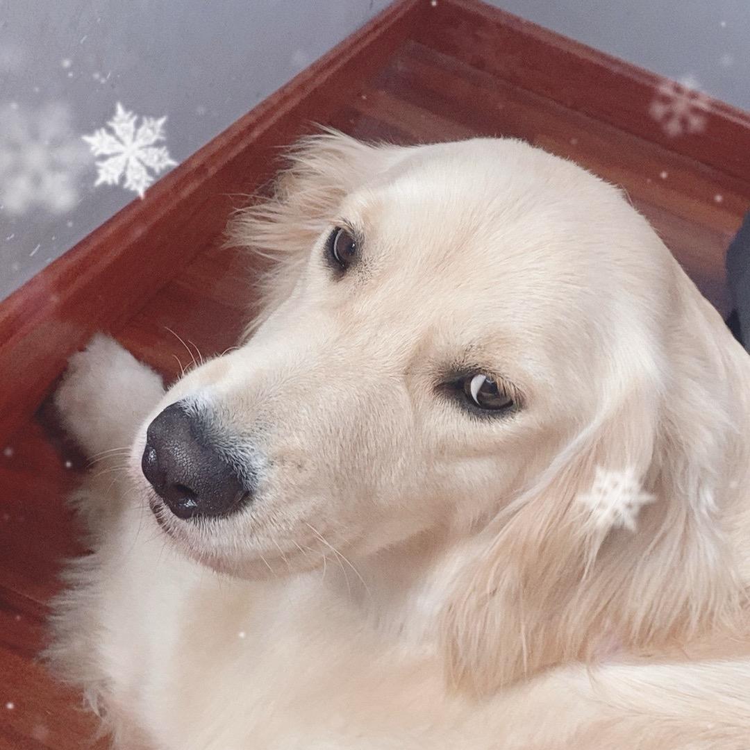 萱萱正能量