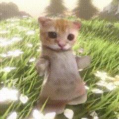 Ciallo～(∠・ω<)⌒★