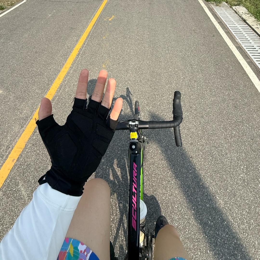 杨树林丶