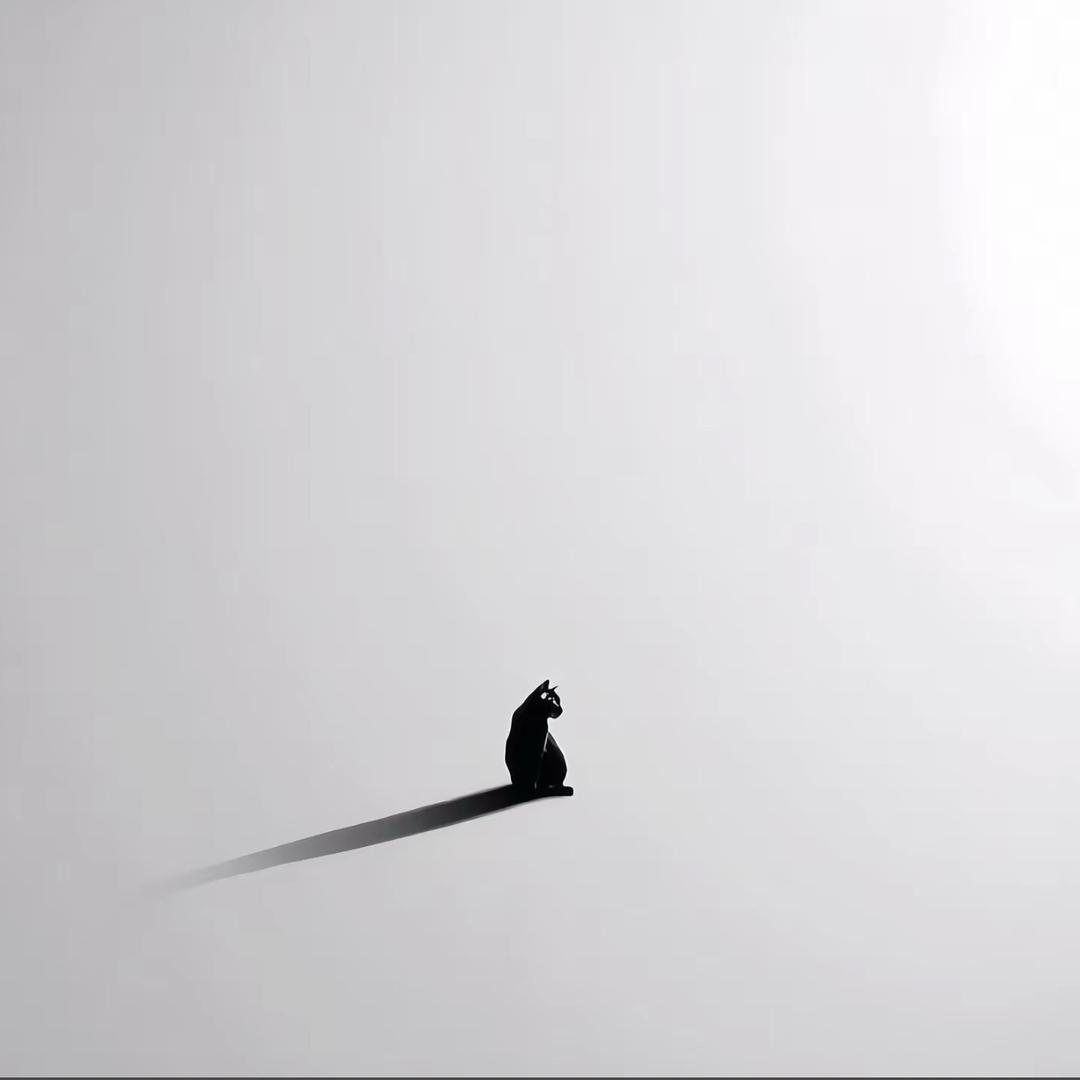 琼,