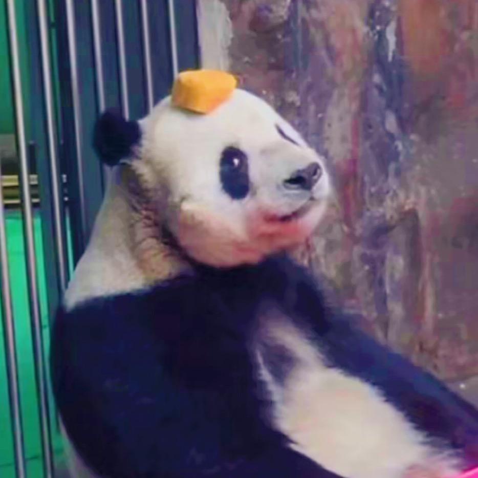 布布熊0y8l