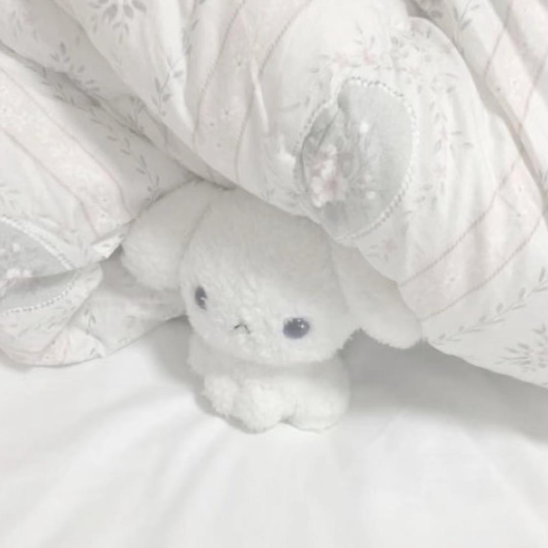 ㅠ@Shuuka_he21^🖇️🧺