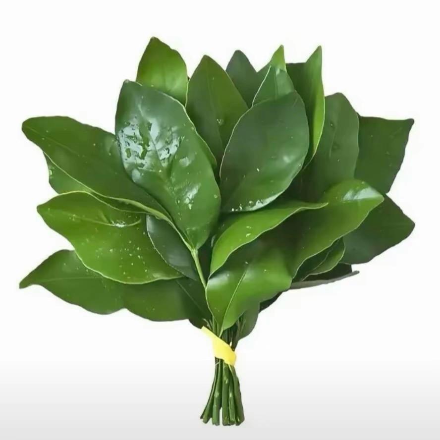 🌈莲花山第一深情