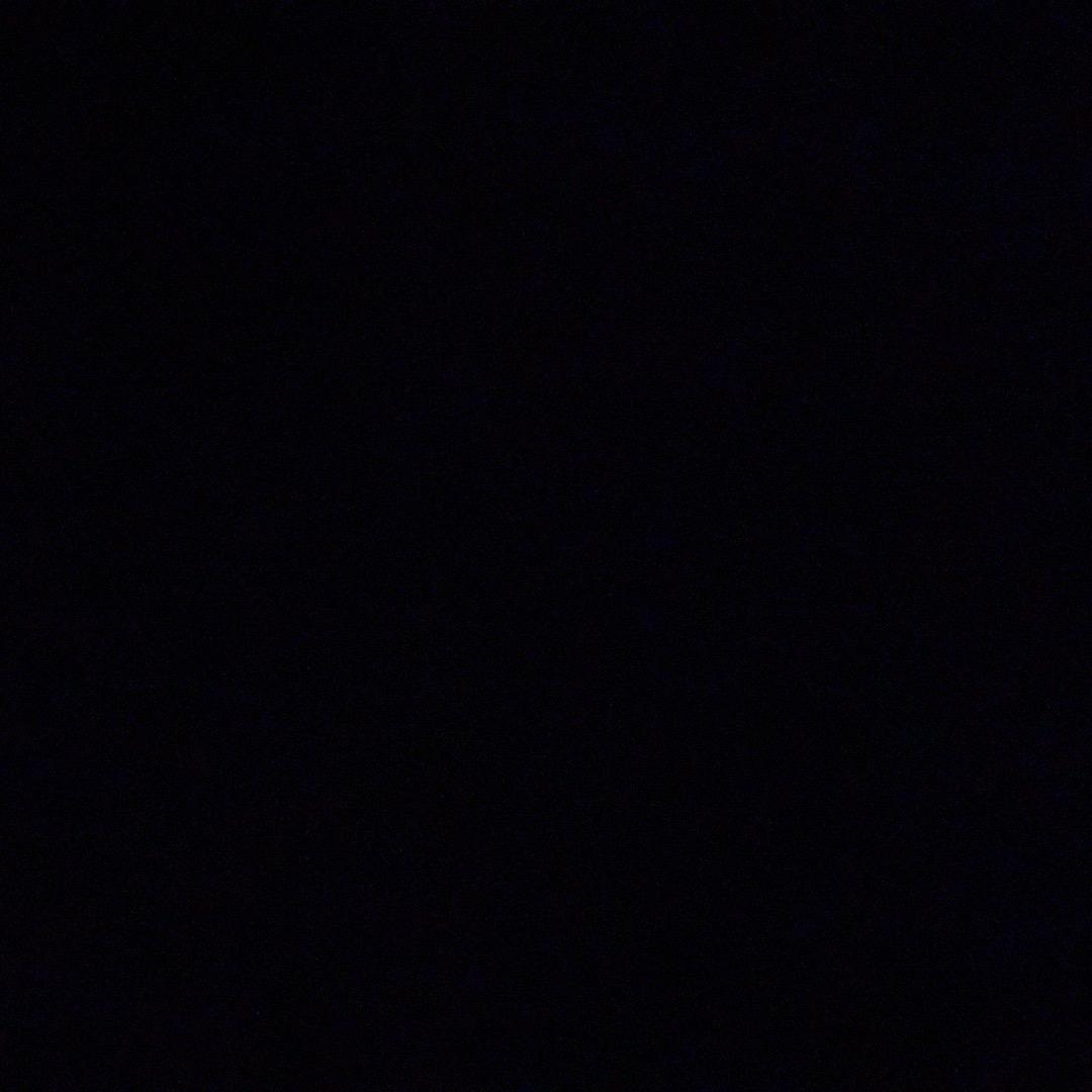 秦政